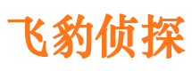 汤旺河调查公司